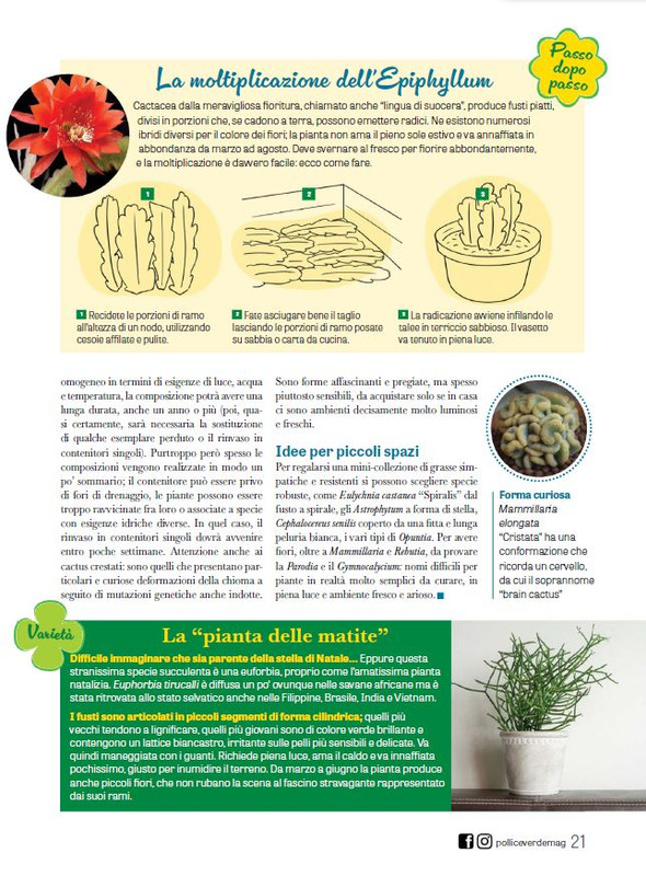 Pol Ver Feb 2024 (4)