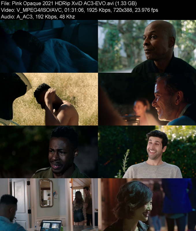 pink-opaque-2021-hdrip-xvid-ac3-evo.png