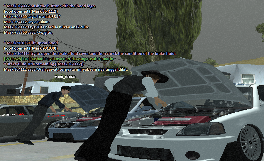 ss11.png