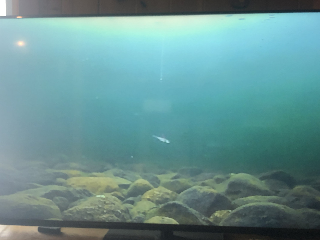 A69C1B81-A6B5-4E47-BA14-07BA73666306