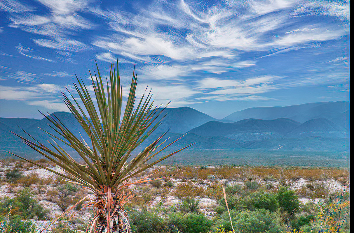 IMAGE: https://i.postimg.cc/tgmt2fHf/A-L-Neo-copy.jpg