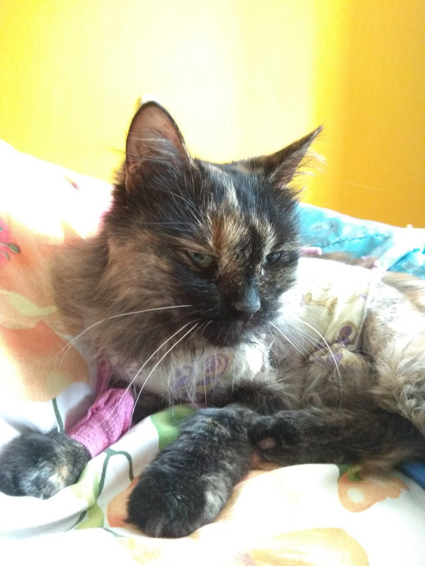 88B0A298-7C1F-4040-AD23-28F2B28E3E53