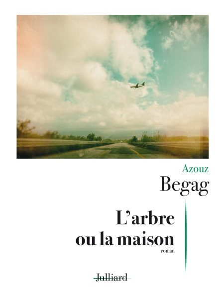 Arbre-ou-la-Maison-L-Azouz-Begag.jpg