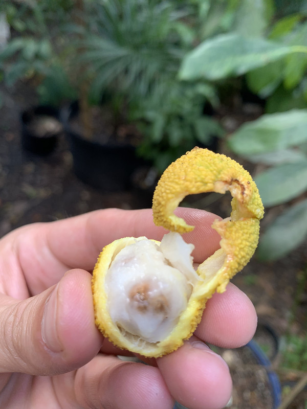 50DA0CA6-B281-46CD-AE41-17D14BC49E39