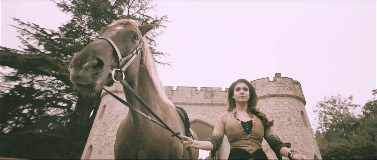 vlcsnap-2024-12-19-21h14m32s834