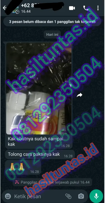gastrul