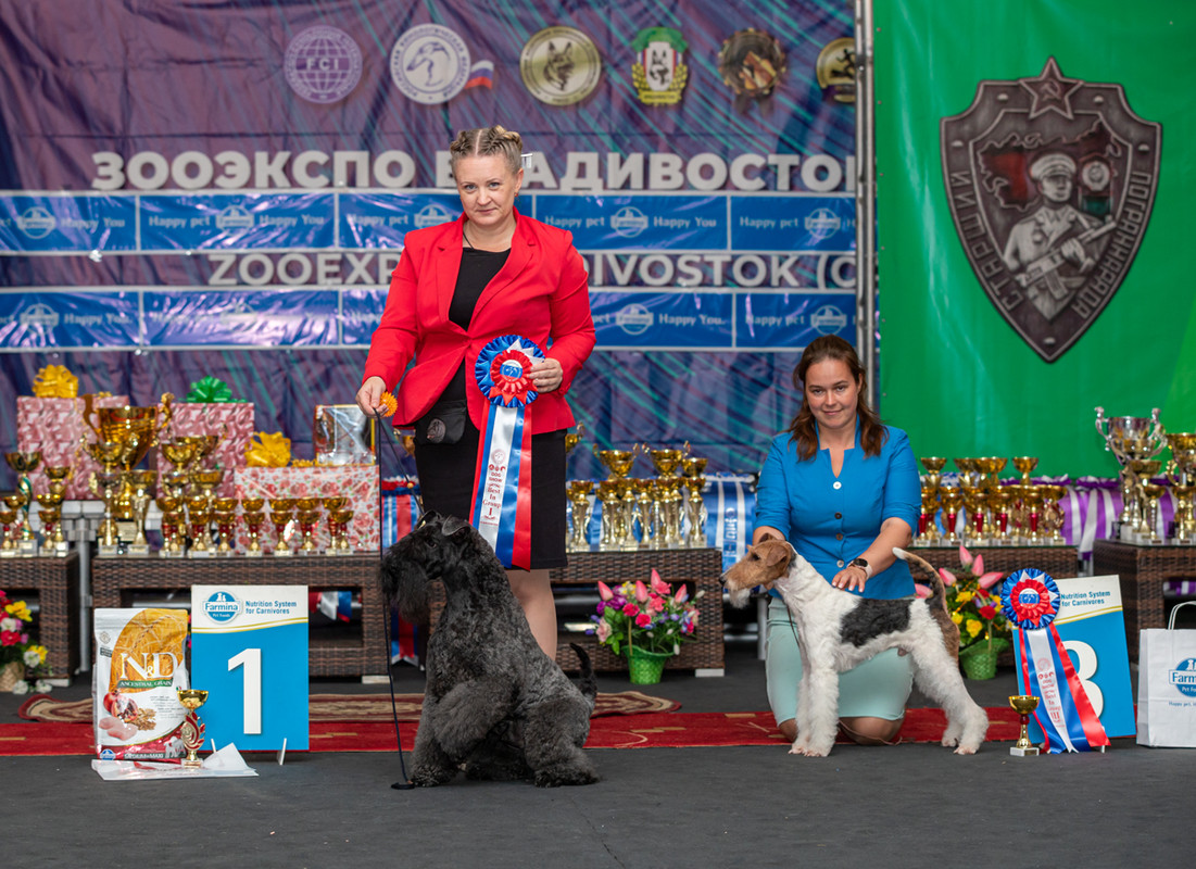 01 3745 — Postimages
