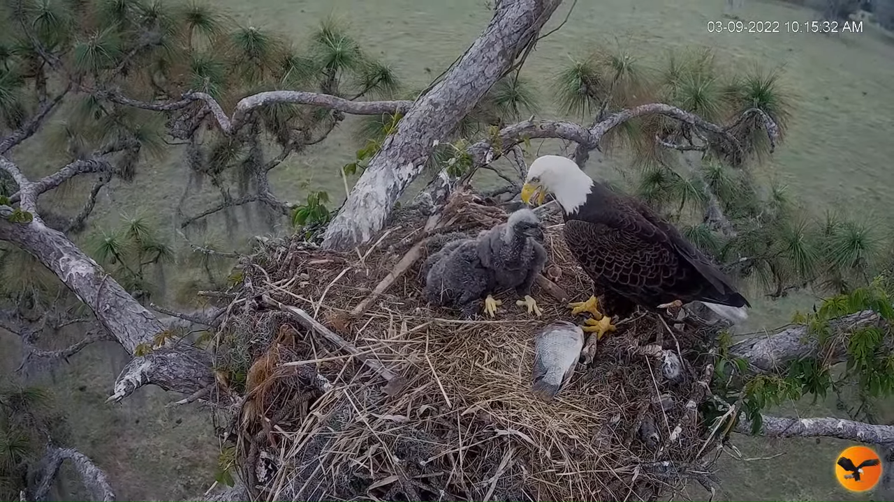 EC 4K Overhead Cam 13-38-8 screenshot