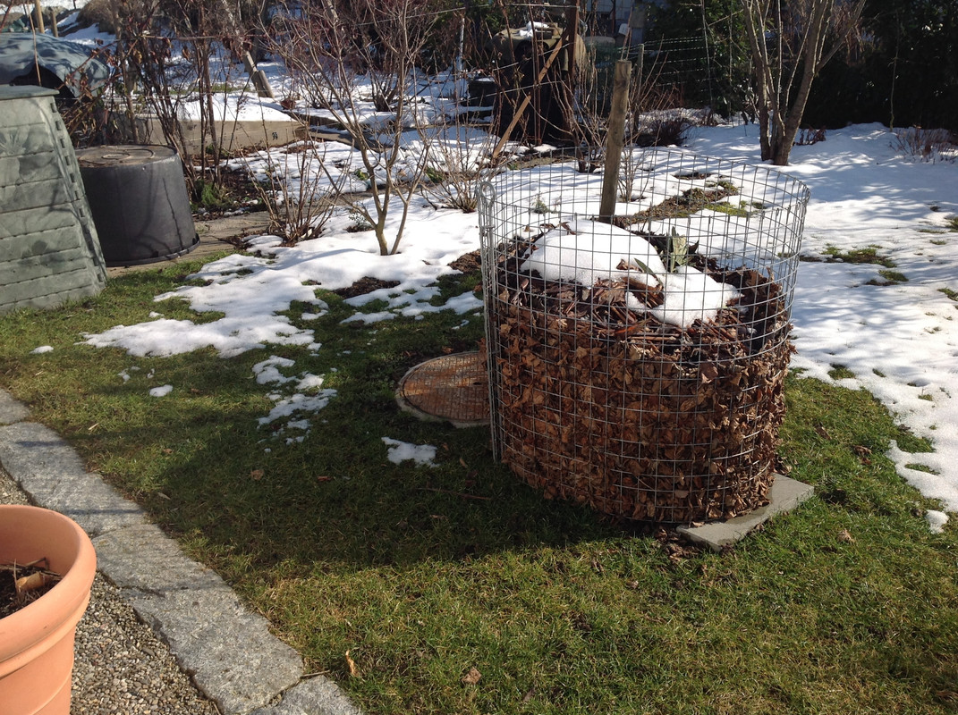 Garten Februar 12.02.2015 13 Uhr (11)