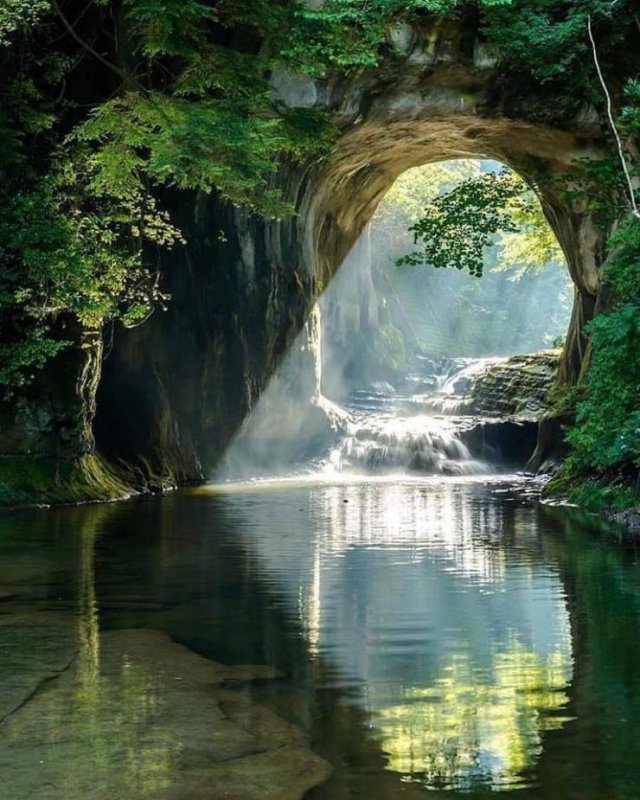 Sorprendente-33
