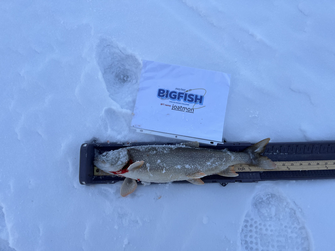 DDF0D98F-C266-474C-83F4-4471FCDFDE25