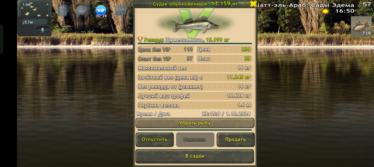 Screenshot-2024-10-01-23-15-13-15-fa28ee