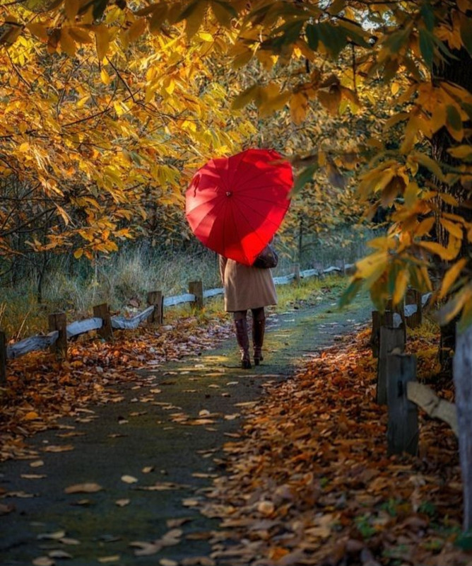 Screenshot_20231127_220630_Pinterest