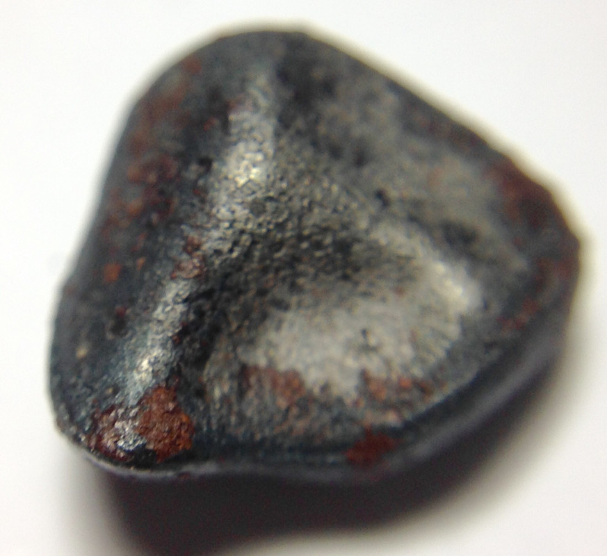 Meteorito siderito NWA 859 IMG-5403