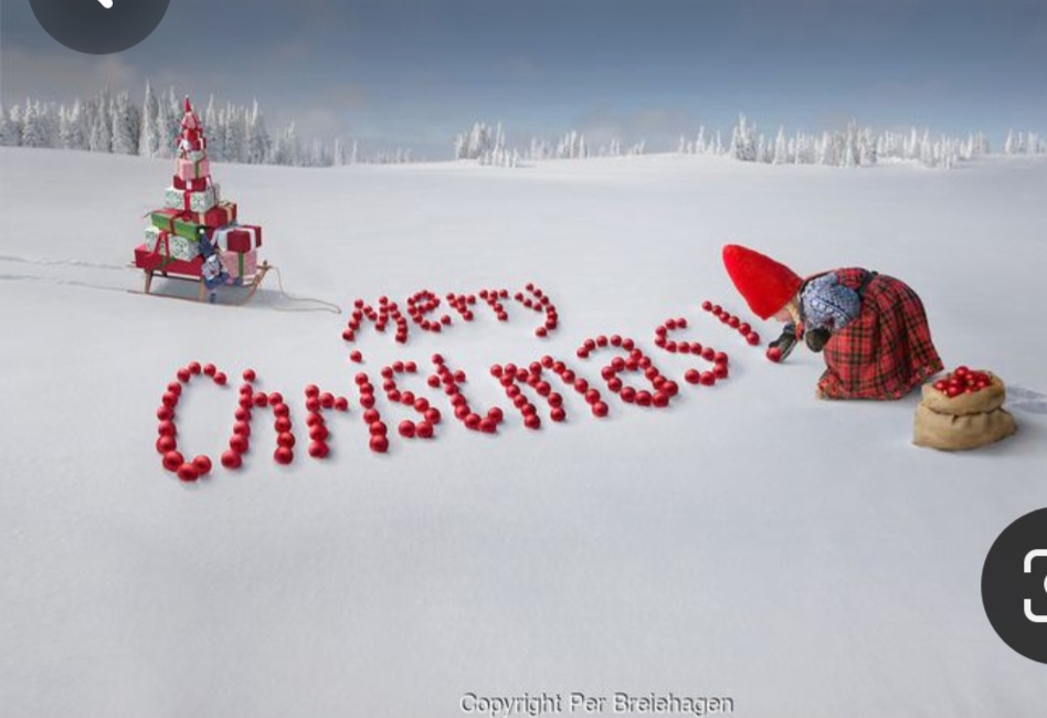 Screenshot_20231224_213624_Pinterest