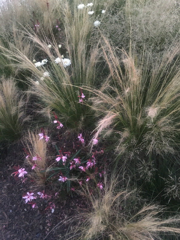 1C33D6E3-1AB8-457B-8574-7EBED987B42A