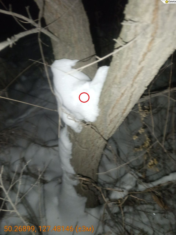 photo 23 2025 12 08 19 57 04