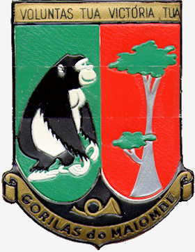 BCac11