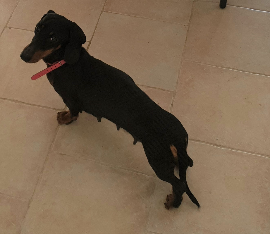 [Image: 20210219-142453.jpg]