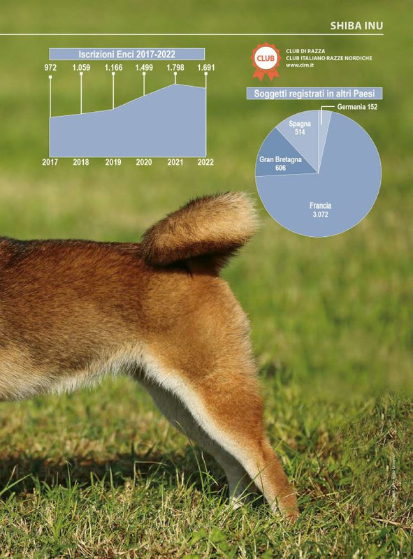 Il M C Dic 2023-Gen 2024 (4)