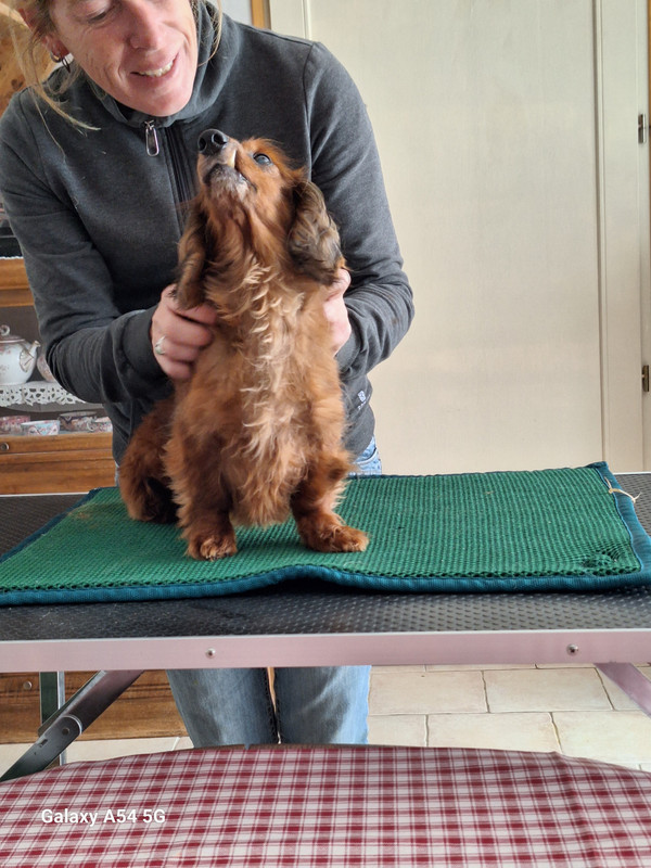 [Image: 20240702-155950.jpg]