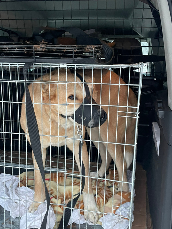 2BD444E3-6856-4B43-9430-61DEB10F9BAD