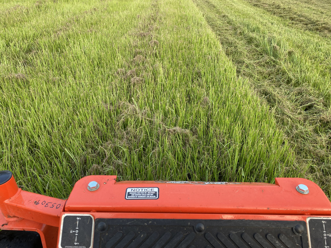 A15FC74A-1921-46D8-8463-3D66332173F2