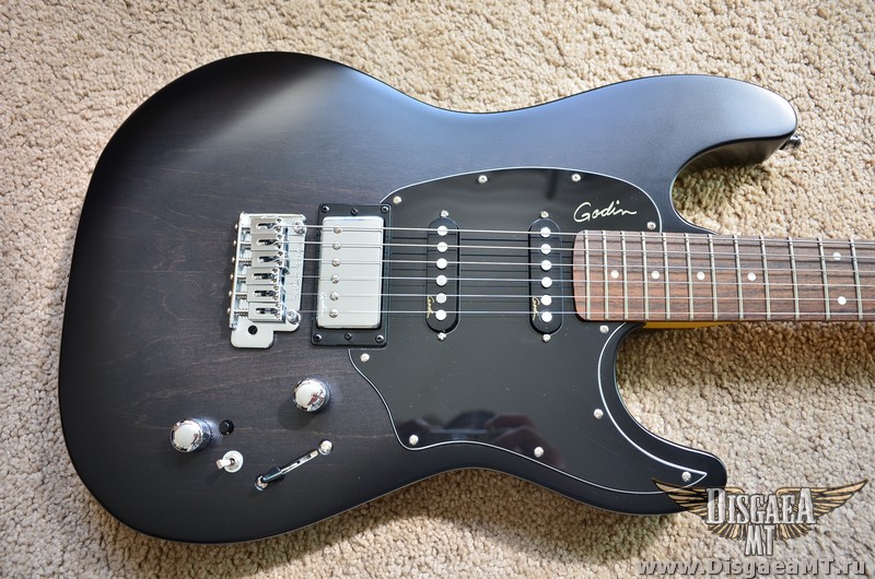 Godin_Session_Plus_exch_002