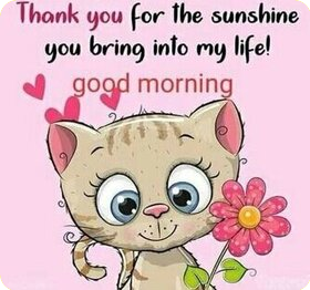 Good-Morning-Sunshine-Life