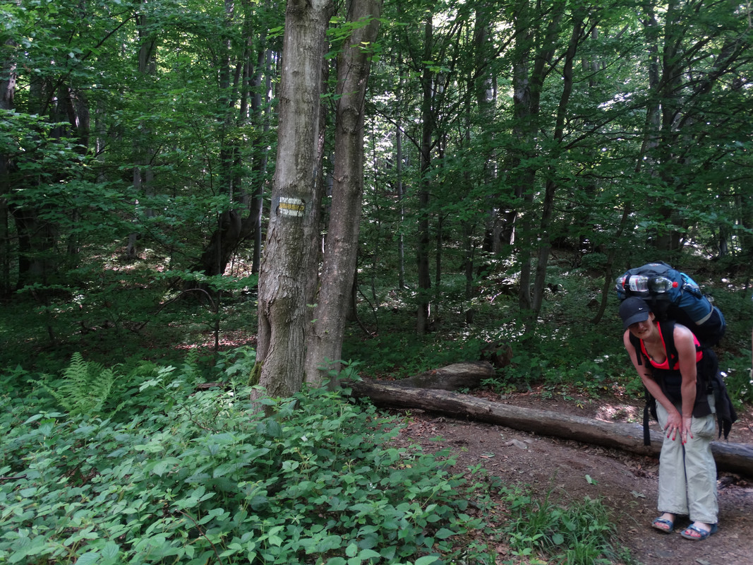 026 - DSC00814 (Ace79)