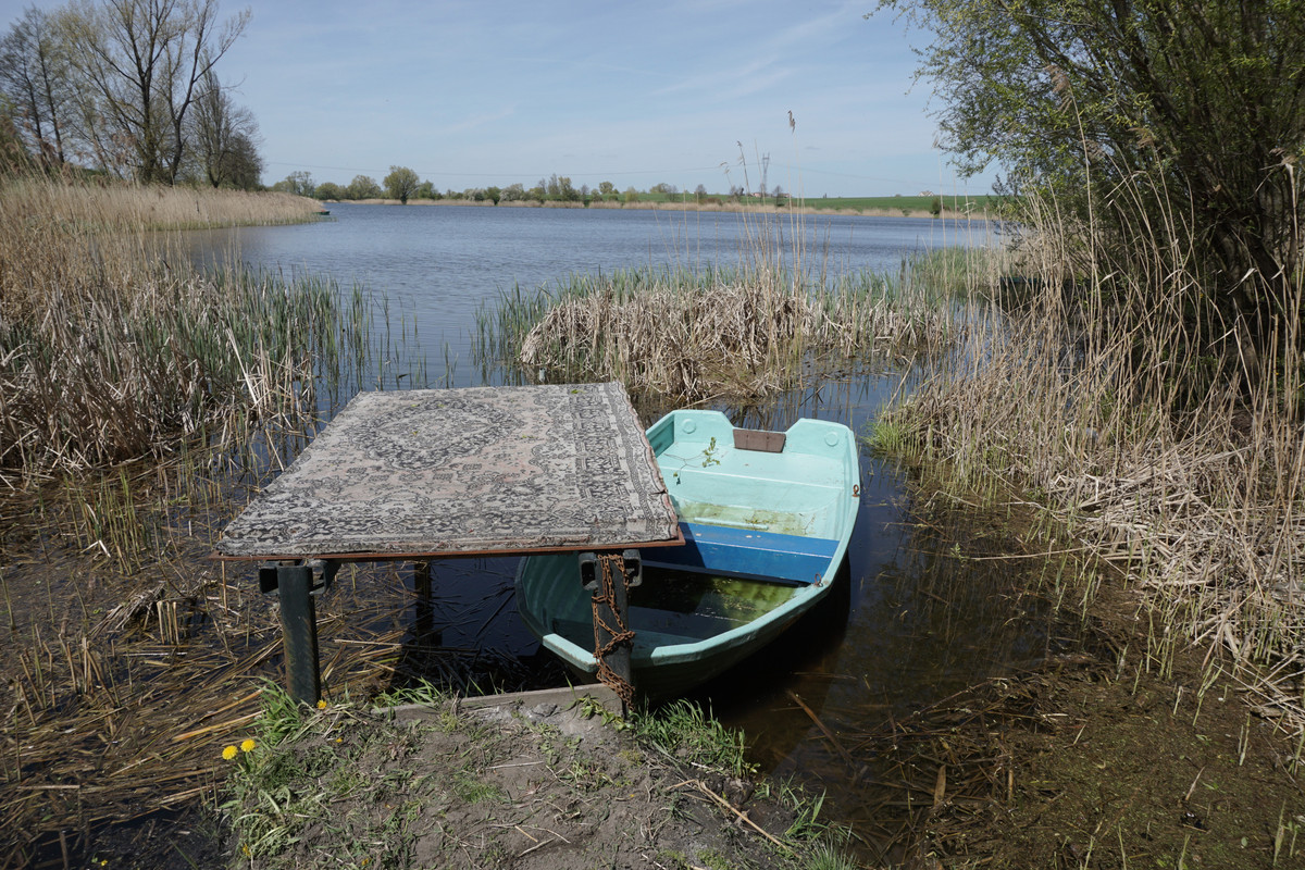 19.39 - DSC07986 (zbychowiec)