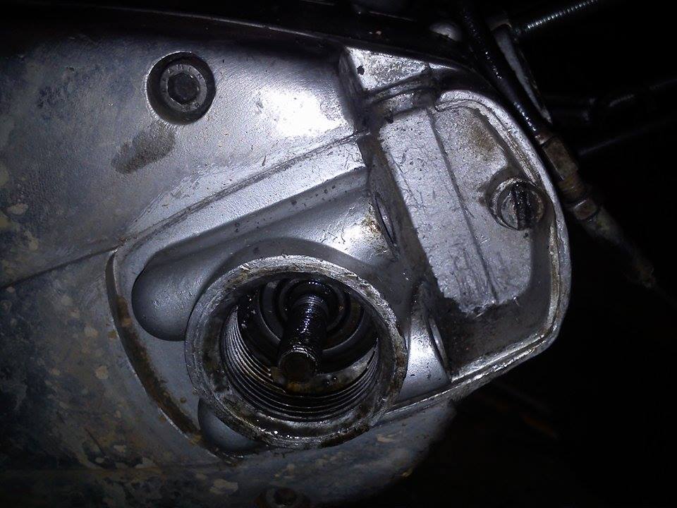 12166454_1473135686329170_623687994_n