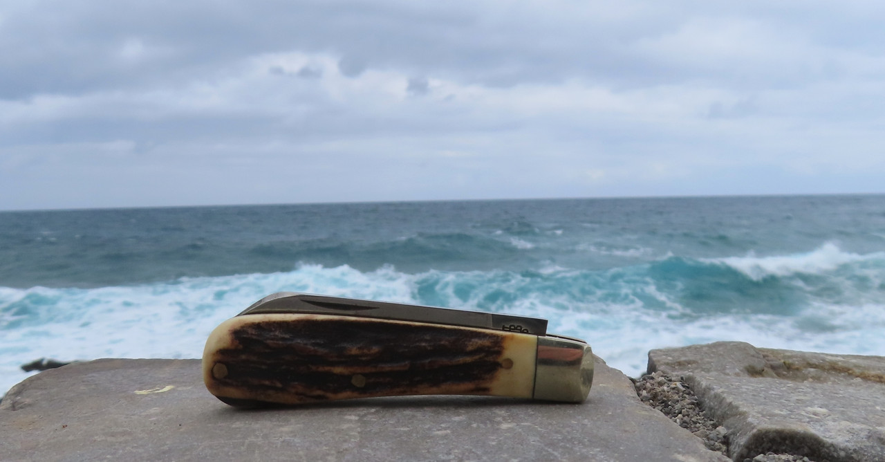 AW Small Sambar LF (2) 17-4