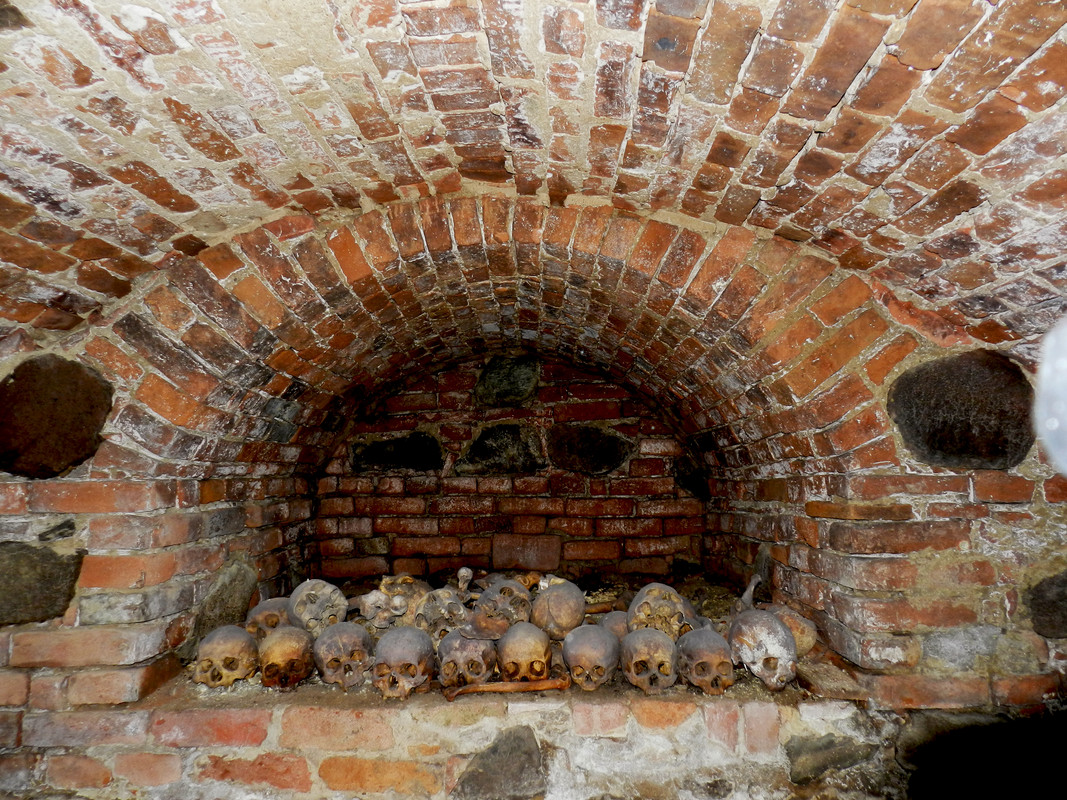 19.19 - DSCN0353 (Milady)