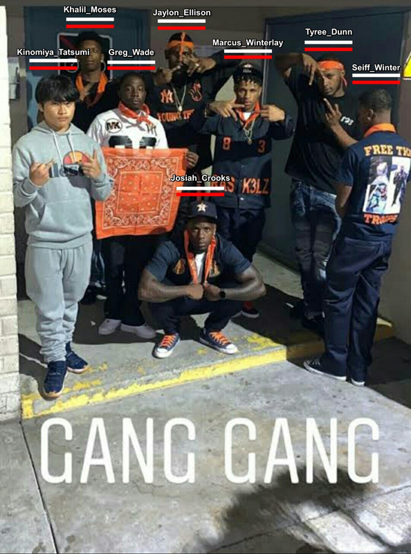 gang-gang.jpg