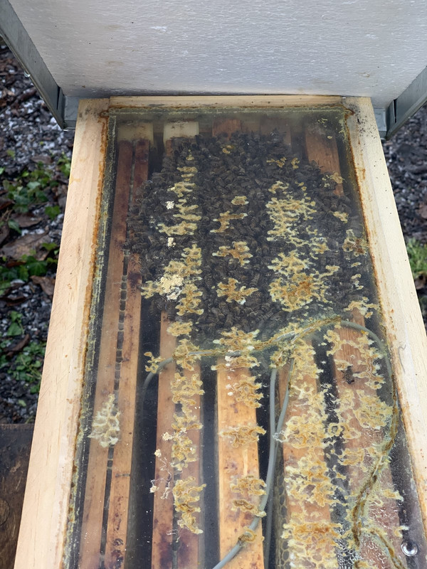 563C19FB-AB9C-4101-B468-EE8A9F4BBDCA