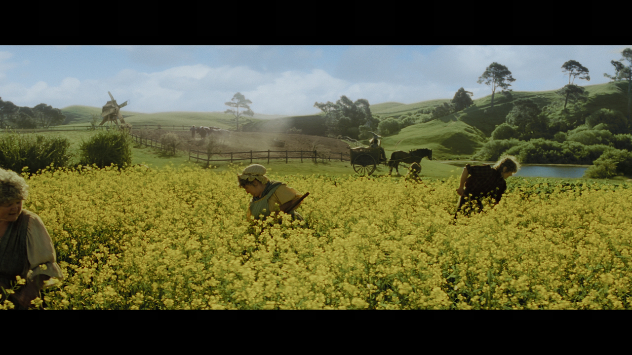 The Lord of the Rings- The Fellowship of the Ring (EXT.) PT. 1.mkv_snapshot_00.12.02_[2020.12.05_21.