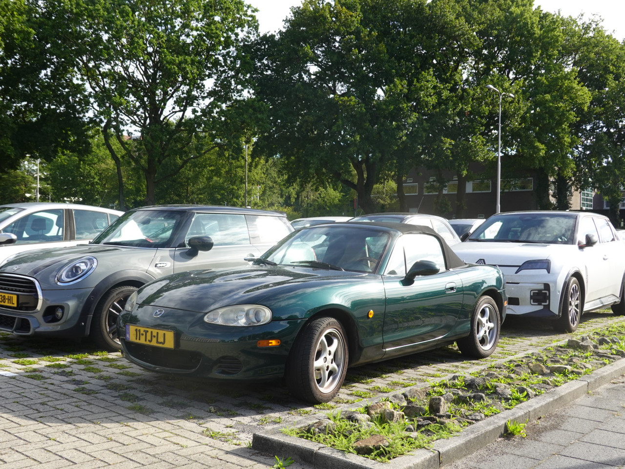DSC00780.jpg