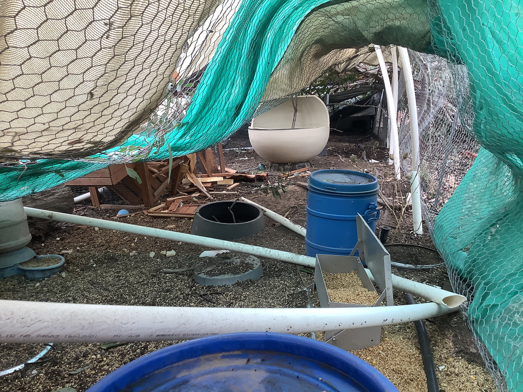 1D5FFA5F-9EA6-4877-B31A-5C213BBA5B43