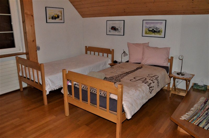 CATARATAS DEL RHIN-5-9-2019 - Suiza y sus pueblos-2019 (46)