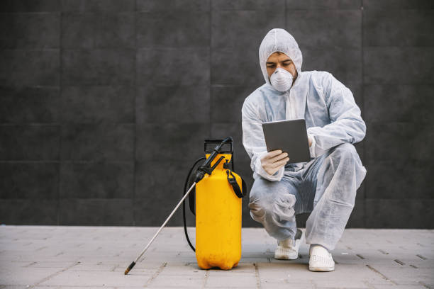 Termite Treatment Kissimmee