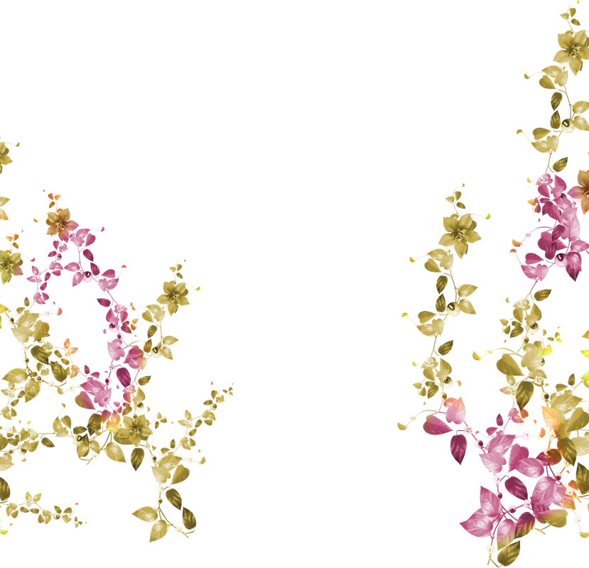 e66_ks