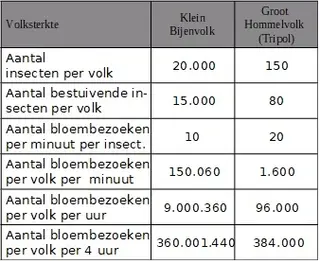 Bijenvolk vergelijking Hommerl (1)