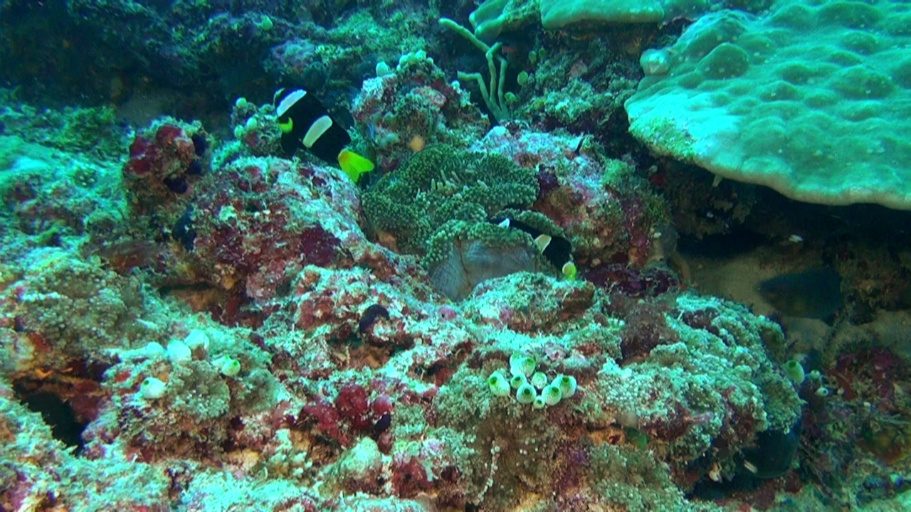 vlcsnap-2023-12-21-21h30m02s679