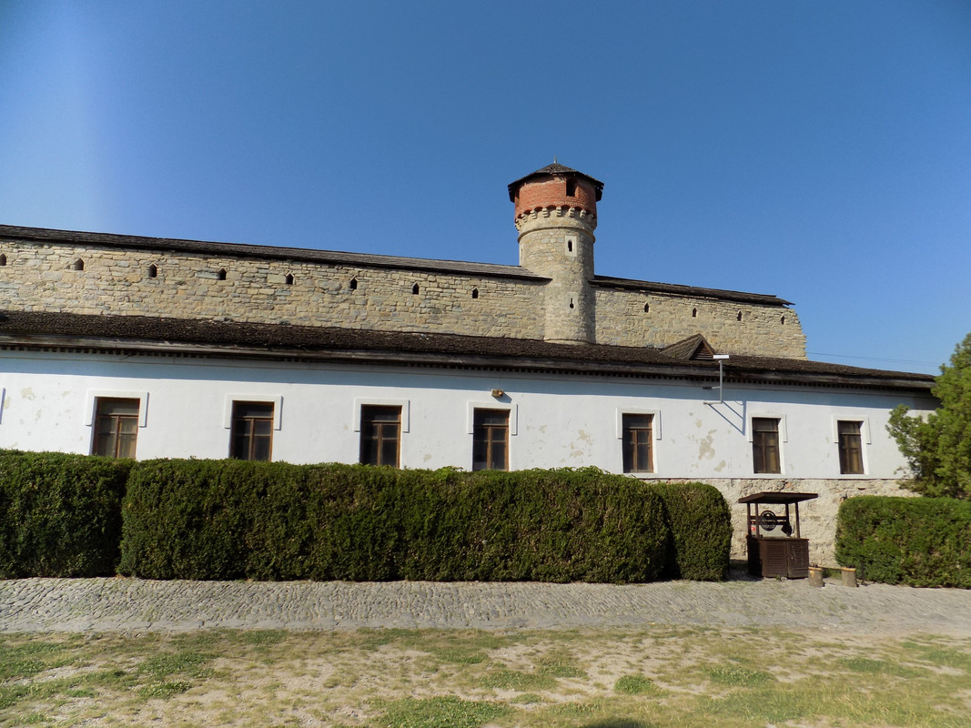 DSCN5295
