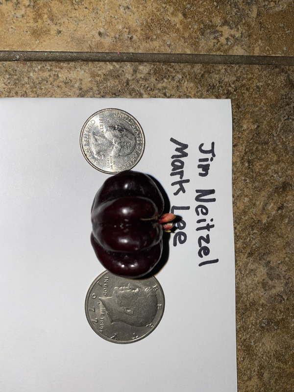 FC901479-2E0E-47A7-B2C2-EA02F651780D