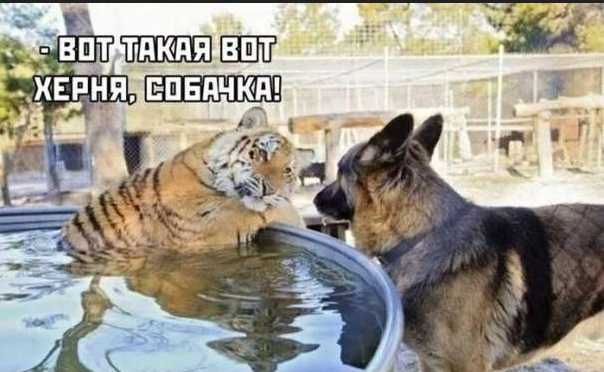 Screenshot-2023-08-15-at-16-38-42-162260