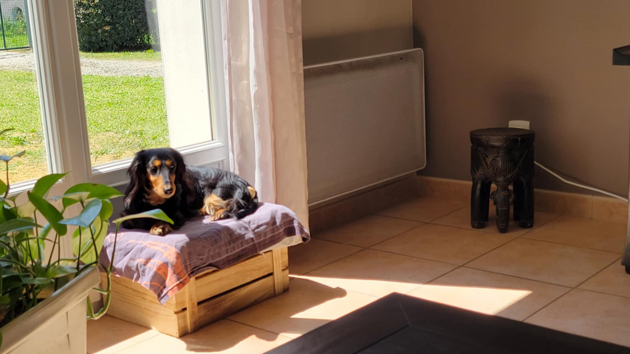 [Image: IMG-20250509-075749.jpg]