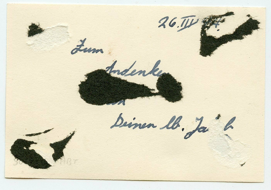 Foto schwerer deutscher Panzer PzKpfw VI Tiger der s.Pz.Abt. 501 März 1944 camo (1)