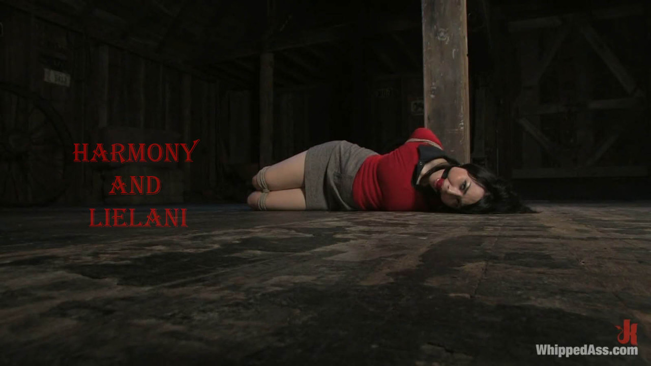 07.04.13 4355 Harmony, Lielani (Harmony And Lielani)-landscape
